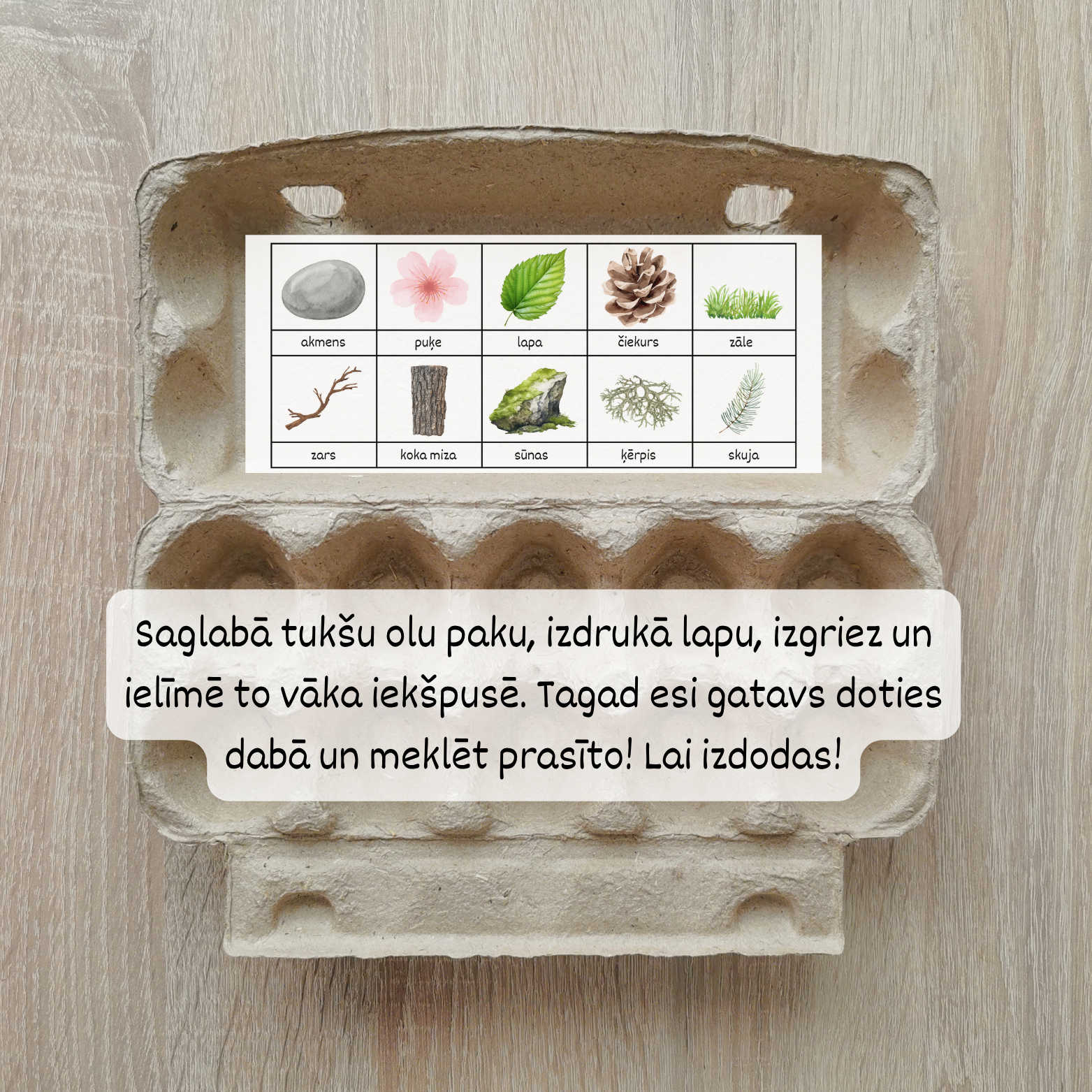 Saglabā tukšu olu paku, izdrukā lapu, izgriez un ielīmē to vāka iekšpusē. Dodies dabā un meklē prasīto.