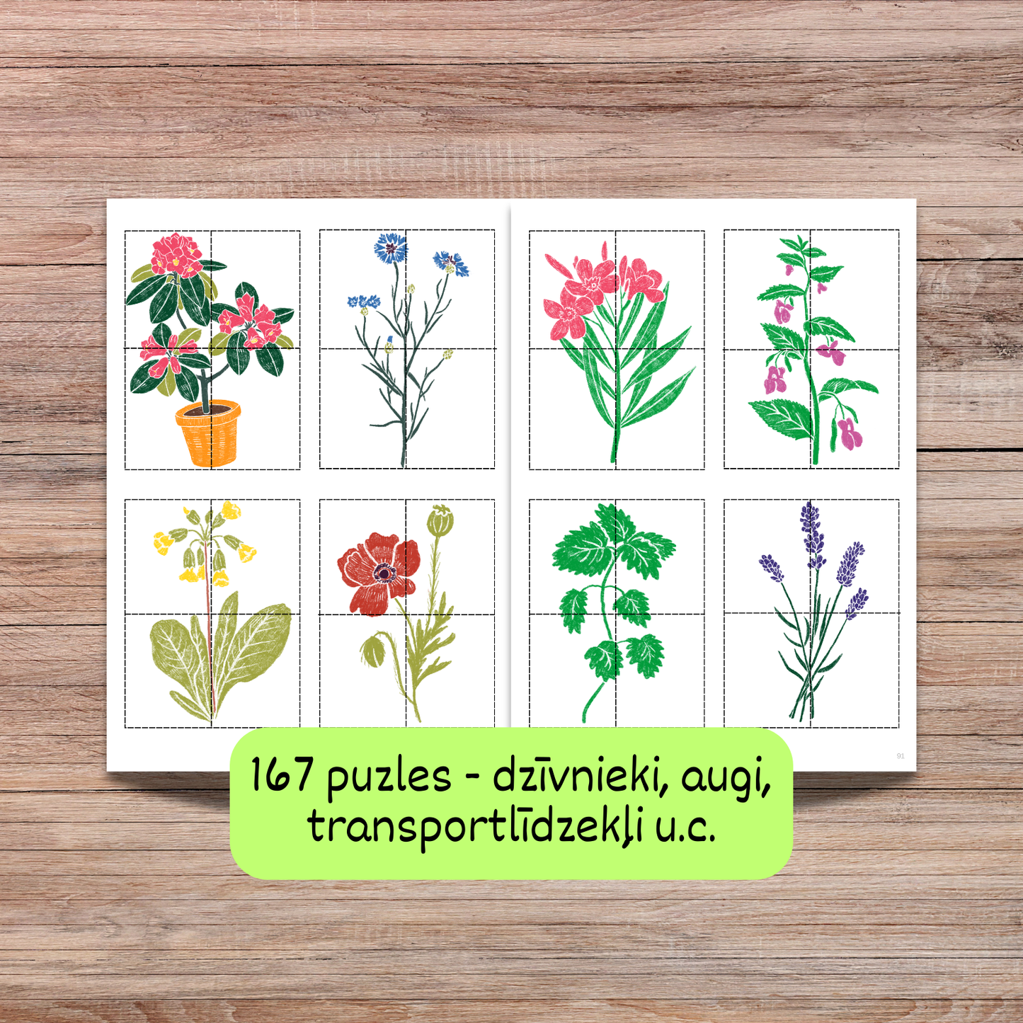 Uzdevumi "Mazās puzles" ar augu attēliem.