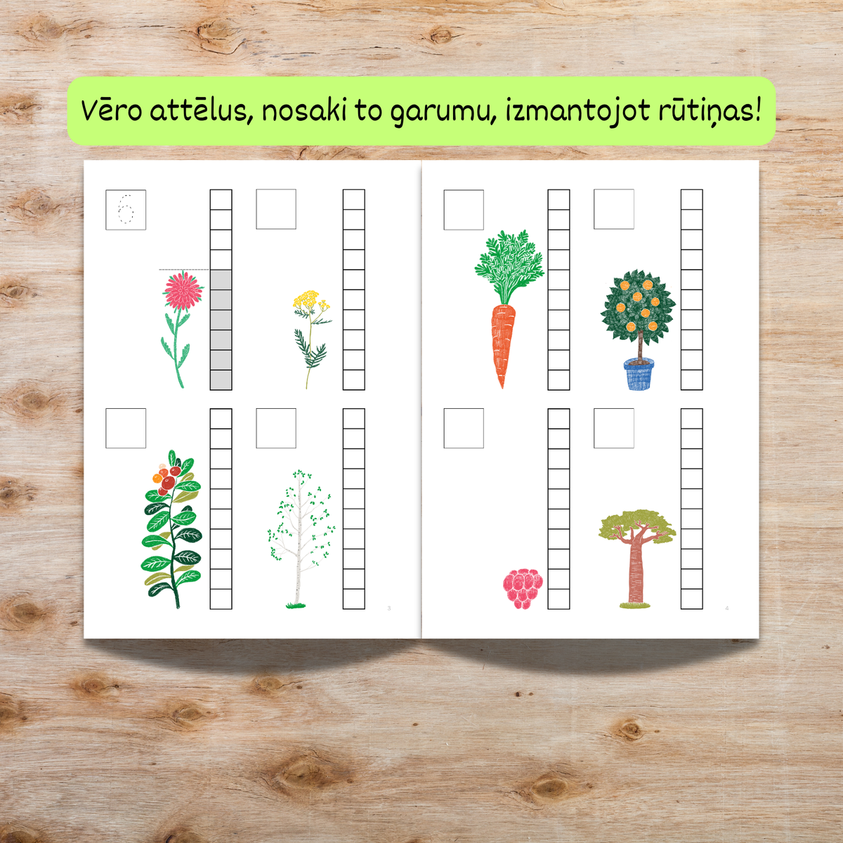 Vēro attēlus, nosaki to garumu, izmantojot rūtiņas.