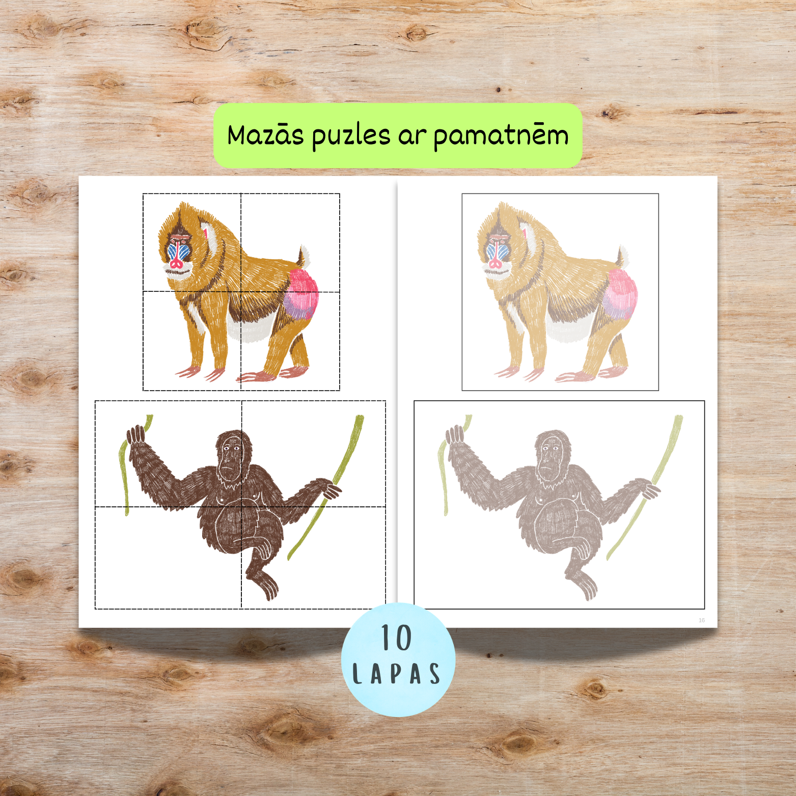Uzdevumi "MIX1" - 10 lapas ar mazajām četru gabalu puzlēm, papildus attēlu pamatnes.