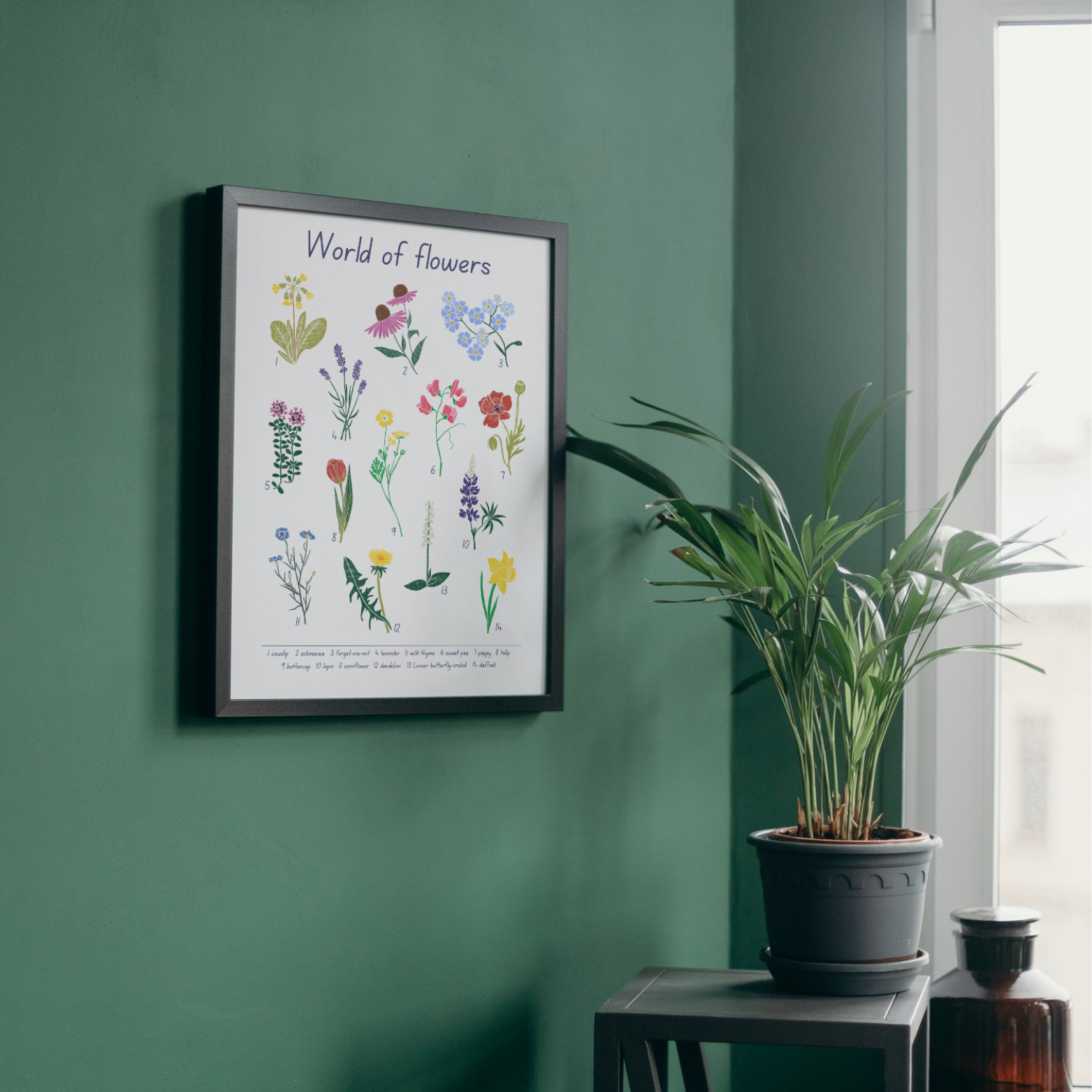 World of flowers - ziedu plakāts angļu valodā, interjera elements ar ziedu nosaukumiem angļu valodā